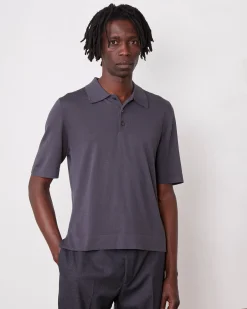 Polo brutus