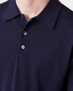 Polo brutus